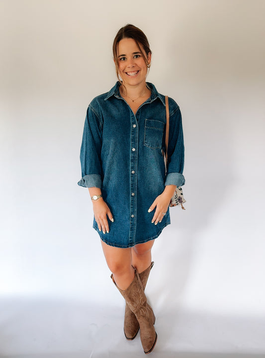 Spice Denim Dress image 0